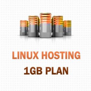 hosting-1gb