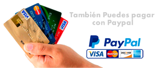 vegasoftweb-recibe-paypal